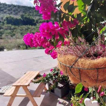 Villa I Sogni Sennori Bagian luar foto