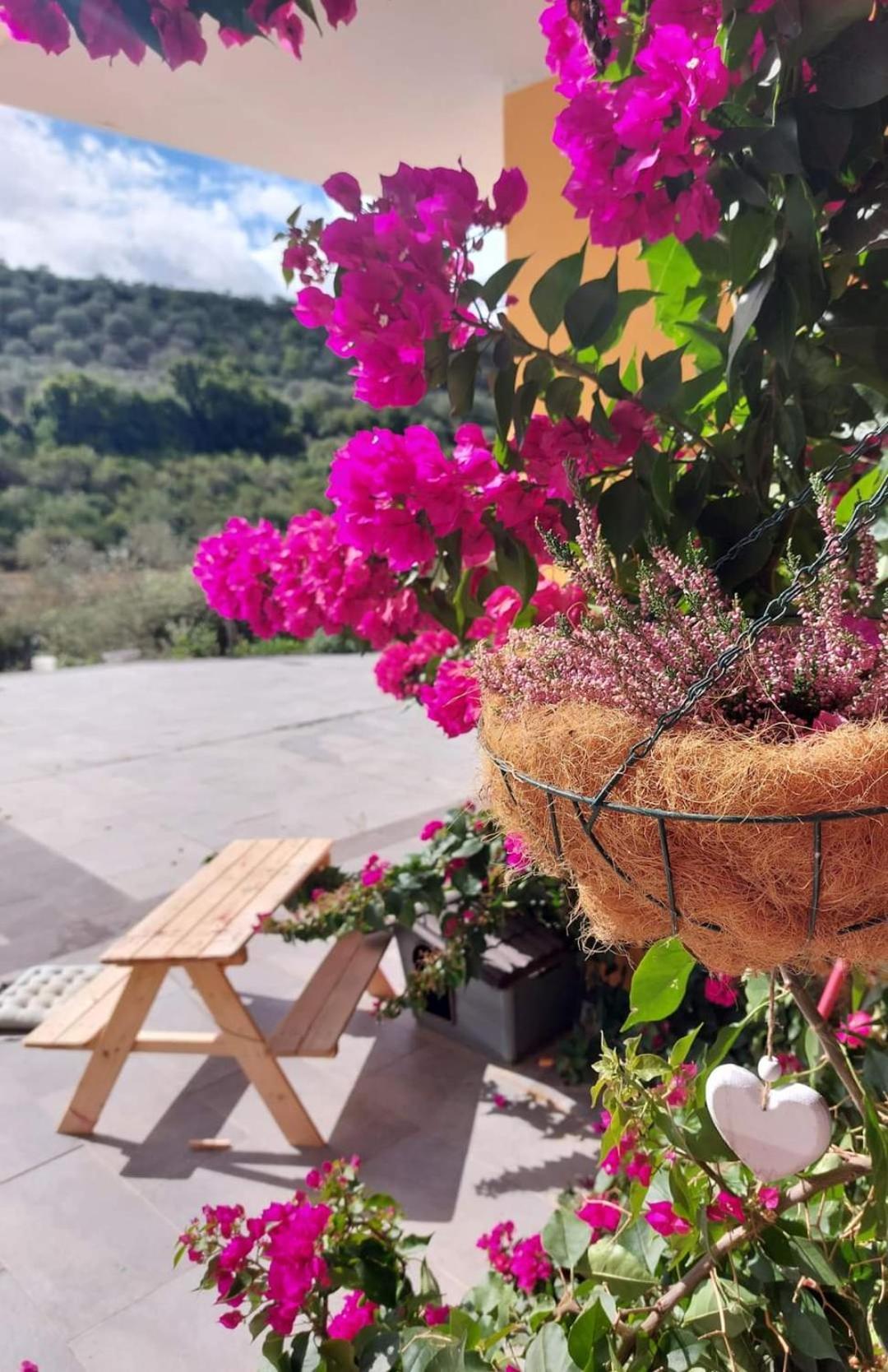 Villa I Sogni Sennori Bagian luar foto